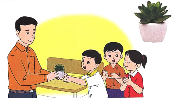 Những cây sen đá