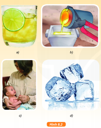 Giải KHTN lớp 6 bài 8