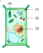 Giải KHTN 6 Chân trời sáng tạo