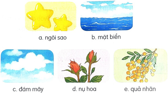 Bài 26: Em mang về yêu thương - Phần đọc