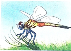 Bài 22: Tớ là Lê-gô - Phần viết