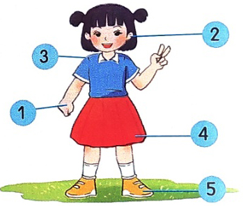 Bài 26: Em mang về yêu thương - Phần viết