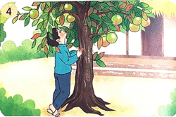 Bài 27: Mẹ - Nói và nghe