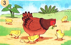 Ôn tập và đánh giá cuối học kì 1 - Tiết 7, 8