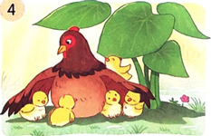 Ôn tập và đánh giá cuối học kì 1 - Tiết 7, 8