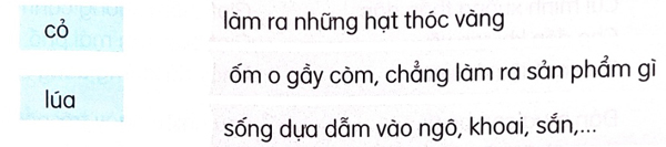 Đánh giá cuối học kì 1 - Đề tham khảo
