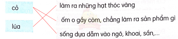 Đánh giá cuối học kì 1 - Đề tham khảo