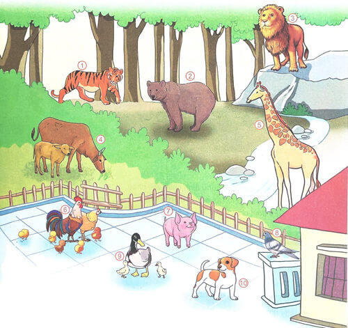 Đàn gà mới nở