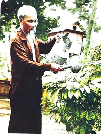 Cây xanh với con người