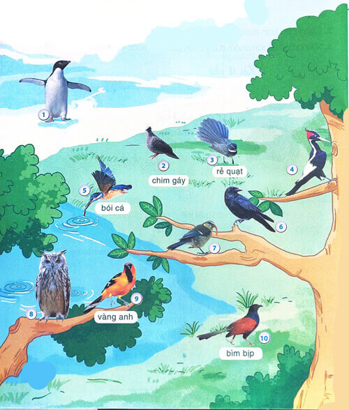 Giải Chim én trang 38, 39, 40 sách Cánh Diều