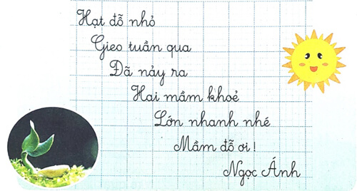 Hạt đỗ nảy mầm