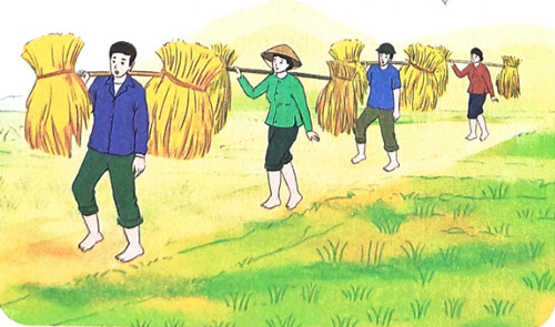 Chia sẻ và đọc: Mùa lúa chín