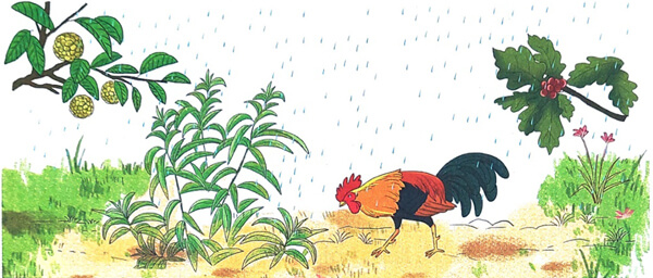 Nghe - viết: Chim én