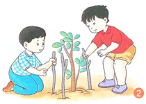 Viết về hoạt động chăm sóc cây xanh