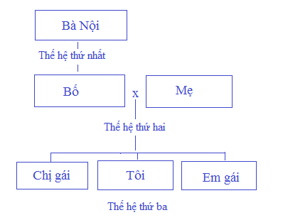 Tự nhiên xã hội lớp 2 bài 1 Các thế hệ trong gia đình Cánh Diều