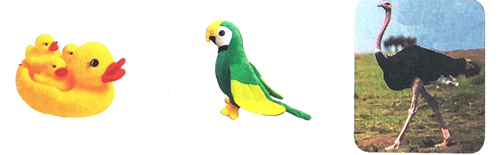 Quan sát đồ chơi hình một loài chim