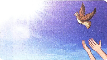 Chim sơn ca và bông cúc trắng