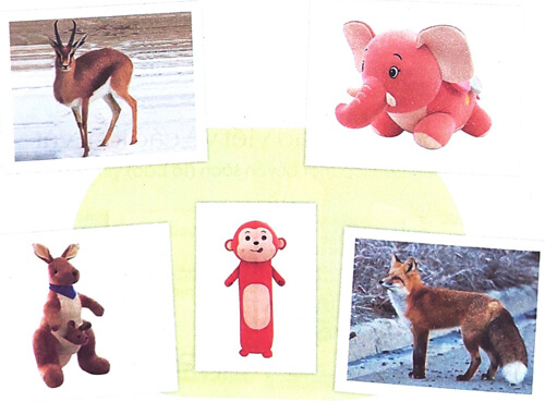 Quan sát đồ chơi hình một loài vật