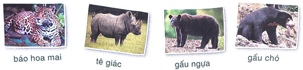 Giải Sư tử xuất quân trang 55, 56, 57, 58 sách Cánh Diều