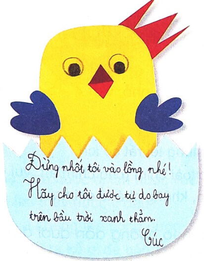 Thông điệp từ loài chim