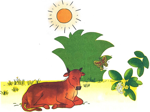 Giải Buổi trưa hè trang 84, 85 sách Cánh Diều