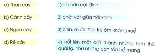 Ôn tập giữa học kì 2 - Tiết 5, 6