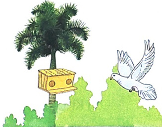 Ôn tập giữa học kì 2 - Tiết 7, 8