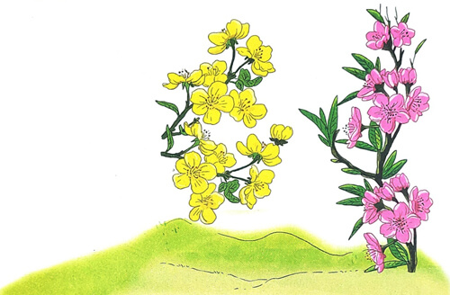 Mùa xuân hội tụ Niềm vui nụ, chồi Đào, mai nở rộ Đẹp hai phương trời  Lệ Bình