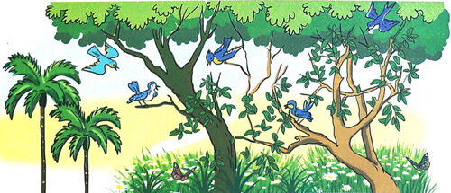 Ôn tập cuối năm - Tiết 3, 4