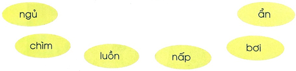 Ôn tập cuối năm - Tiết 7, 8