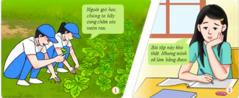 GDCD lớp 6 bài 3 Cánh Diều