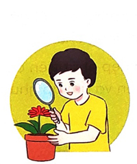 Cái bàn học của tôi