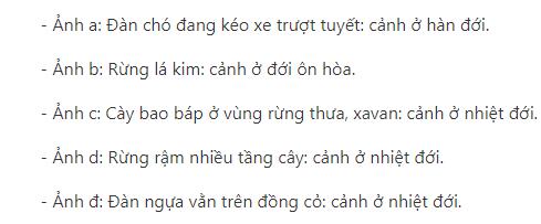 Quan s&aacute;t h&igrave;nh 20.4, m&ocirc; tả c&aacute;c cảnh quan trong &aacute;nh. C&aacute;c cảnh quan đ&oacute; thuộc những đới kh&iacute; hậu n&agrave;o?