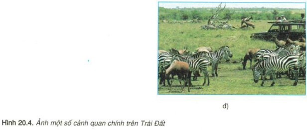 Hình 20.4, mô tả các cảnh quan chính trên trái đất
