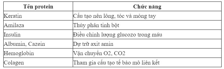 N&ecirc;u một v&agrave;i loại pr&ocirc;t&ecirc;in trong tế b&agrave;o người v&agrave; cho biết c&aacute;c chức năng của ch&uacute;ng