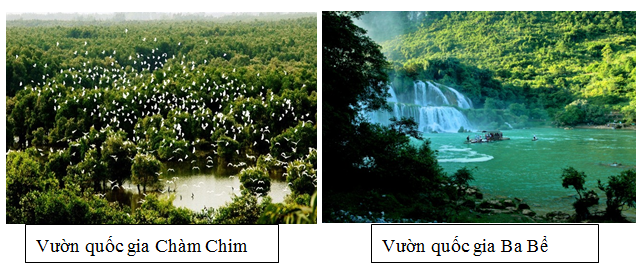 Sưu tầm tranh ảnh về c&aacute;c VQG Việt Nam