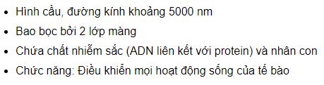 M&ocirc; tả cấu tr&uacute;c của nh&acirc;n tế b&agrave;o