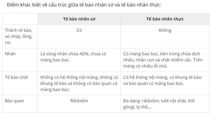 N&ecirc;u c&aacute;c điểm kh&aacute;c biệt về cấu tr&uacute;c giữa tế b&agrave;o nh&acirc;n sơ v&agrave; nh&acirc;n thực