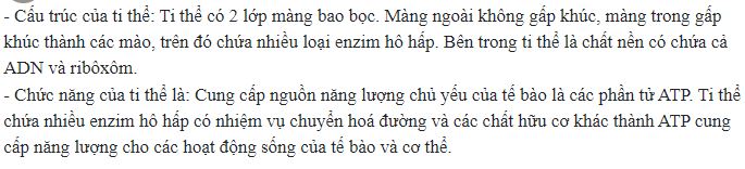 N&ecirc;u cấu tr&uacute;c v&agrave; chức năng của ti thể