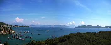 Sưu tầm tranh ảnh về hải sản v&agrave; cảnh đẹp của biển Việt Nam