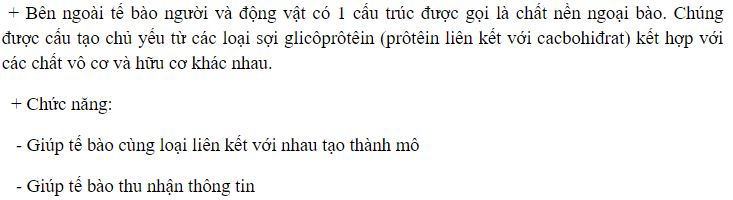 Chất nền ngoại b&agrave;o l&agrave; g&igrave;? N&ecirc;u chức năng của chất nền ngoại b&agrave;o