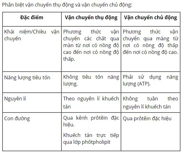 Ph&acirc;n biệt vận chuyển thụ động với vận chuyển chủ động