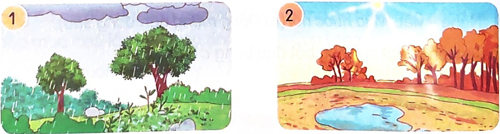 Mùa nước nổi - Luyện tập