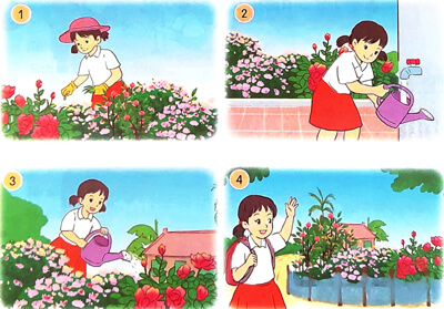 Mùa vàng - Luyện tập