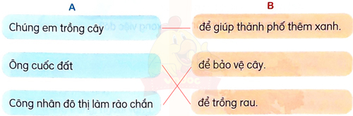 Mùa vàng - Luyện tập