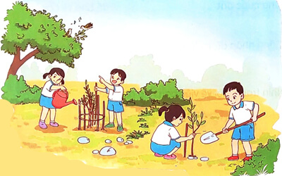 Mùa vàng - Luyện tập