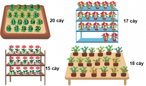 Giải Toán lớp 1 Bài 41 sách Cánh Diều