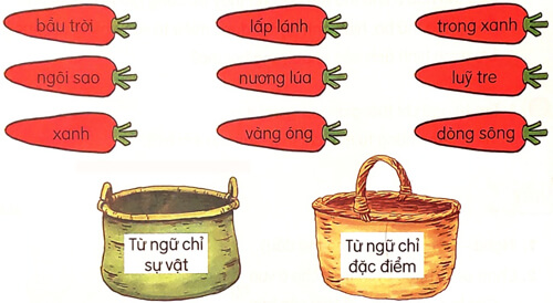 Lũy tre - Luyện tập