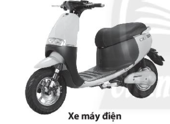 Giải SBT KHTN 6 Chân trời sáng tạo