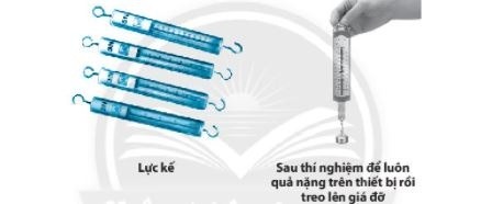 Giải KHTN 6 Chân trời sáng tạo